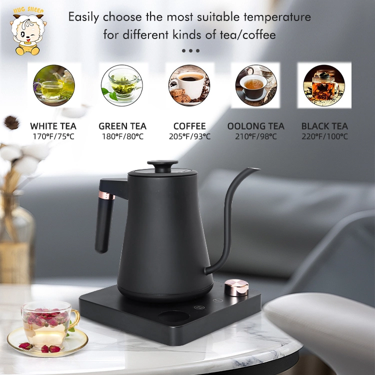 OEM Hot Sale Portable Electric Kettle Stainless Steel 24 Hour to Keep Warm Electric Kettle